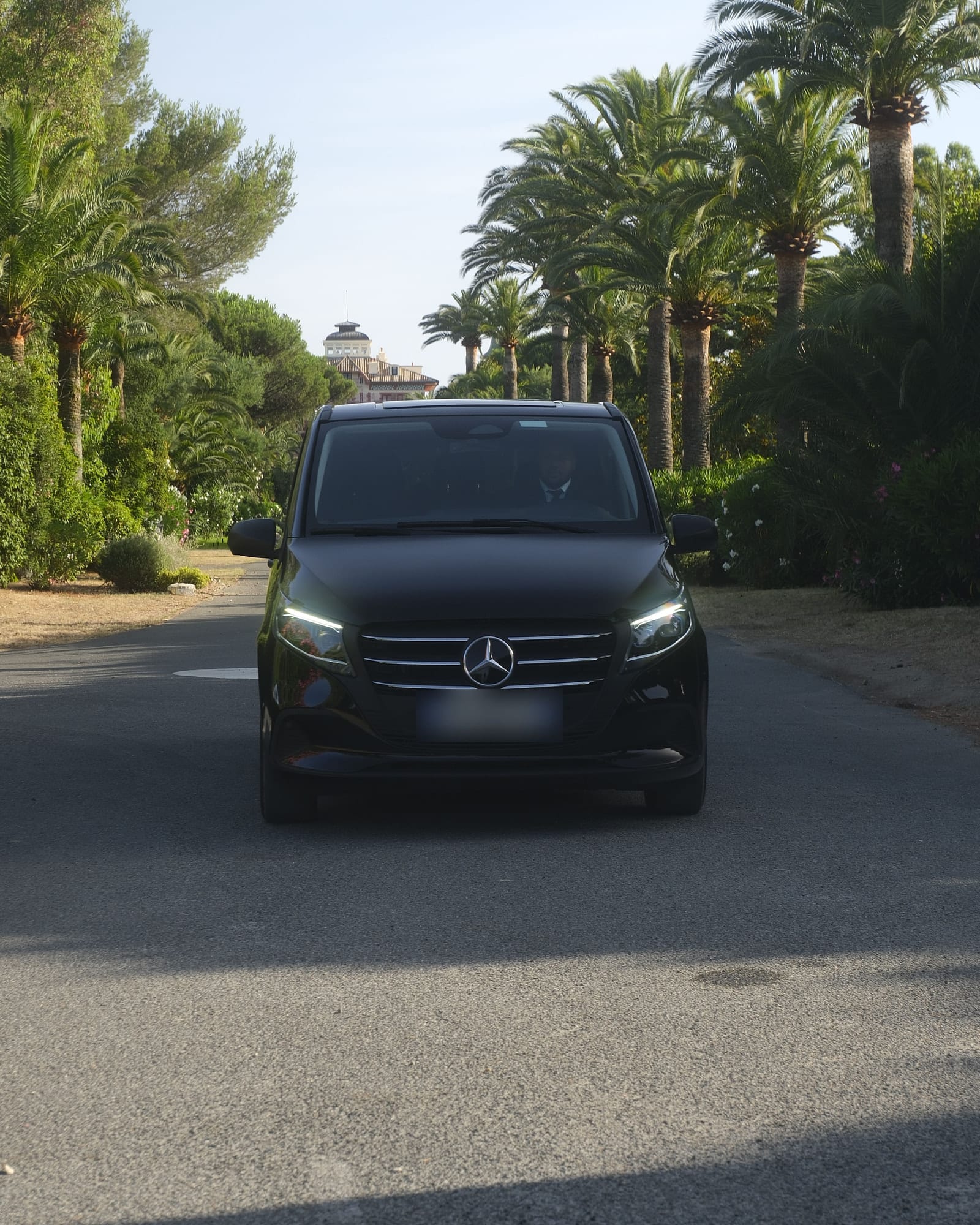 Van noir de transport de clients sur une allée bordée de palmiers, en Provence